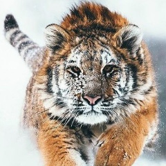 Алишер Утибаев, 08.07.2006, Караганда