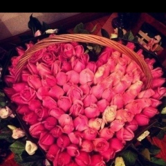 Фатима Аушева, 07.06, Москва