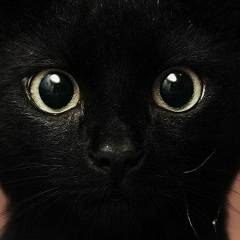 Дмитрий Лазарев, Тюмень