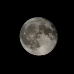 Лейла Куштова, 17.02, Магас