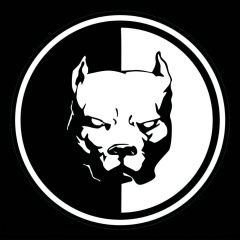 Мажид Абашев, 15.05, Шымкент