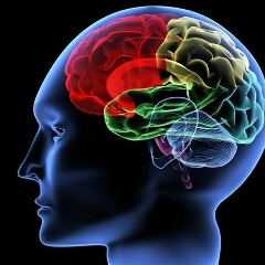 Артур Бочаров, 06.09.1983, Санкт-Петербург