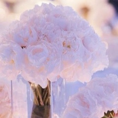 Aigul Kubiyeva, 23.11