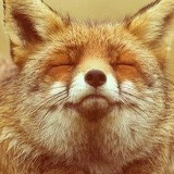 Иван Каримов, 06.02