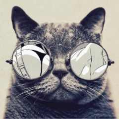 Саша Павлов, Los Angeles