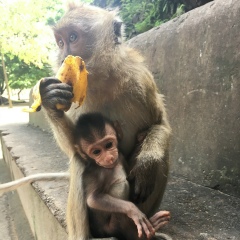 Мария Сучкова, 05.07, Москва