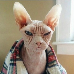 Olga Balyasnikova, 30.12, Санкт-Петербург