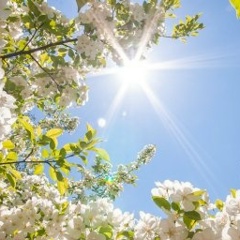 Наталья Попова, 30.06, Красноярск