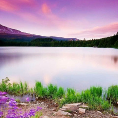 Эльвира Галиаскарова, Санкт-Петербург