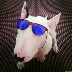 Валентин Митрофанов, 19.03, Нижний Новгород