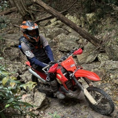 Николай Савенко, Brisbane