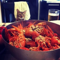 Сергей Николаев, 09.07.1985, Москва