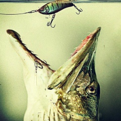 Александр Безрук, 08.03.1984, Херсон