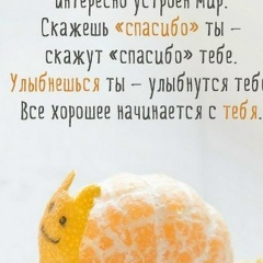 Светлана Елисеева, Санкт-Петербург