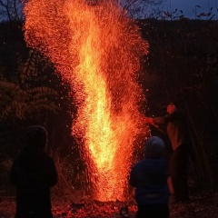 Дмитрий Коротких, Донецк