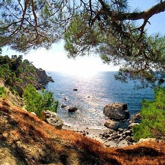 Мансур Экиев, 11.11.1971, Москва