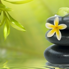 Юлия Матюшина, 14.07.1980, Москва