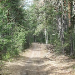 Артём Каталевский, Владимир