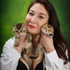 Анна Ковалева, Санкт-Петербург