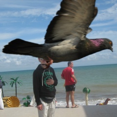 Максим Мосин, 12.05.1991