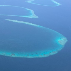 Алла Никифорова, 28.09.1981, Санкт-Петербург