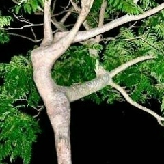 Кира Меркурьева, 19.06, Москва