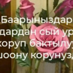 Шахзада Садирдинова, 25.08, Джалал-Абад