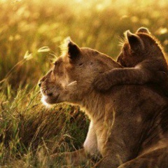 Алёна Тороповская, 10.04