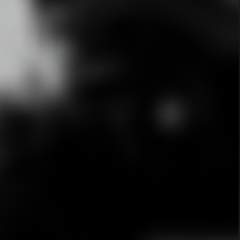 Серый Коваль