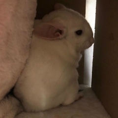 Наталья Синельникова, 24.11