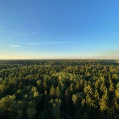 Islam Tkhamokov, 01.03, Москва