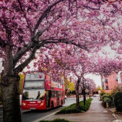 Майра Нурумбаева, 29.04