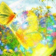 Тлек Жанкина, 24.06, Астана