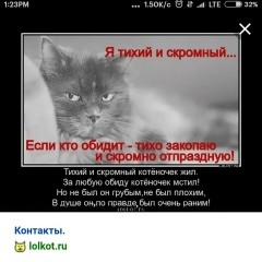 Айжан Урсумбетова, 11.12, Шымкент