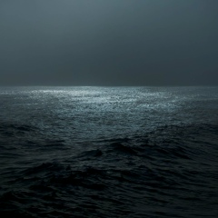 Евгений Пестов, 29.01.1985, Санкт-Петербург