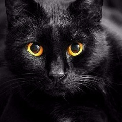 Елена Николаевна, 13.09, Москва