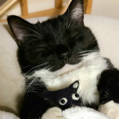 Андрей Мурка, 17.06.1991