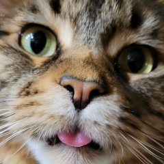 Наталья Махотина, 13.12, Красноярск