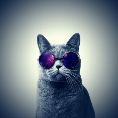 Денис Прокофьев, 01.01, Казань