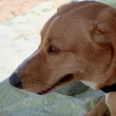 Светлана Золотухина, Тюмень