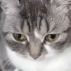 Матвей Подберезный, 04.04, Каменское / Днепродзержинск