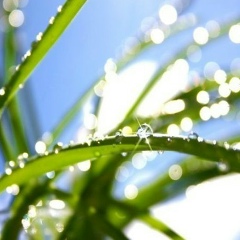 Swami Aparigrah, 23.04, Алматы