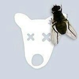 Владимир Беляков, 11.11