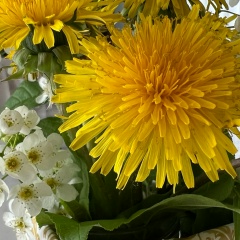 Елена Прошинская, 11.04.1971, Челябинск