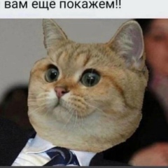 Андрей Максимов, Budva