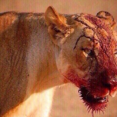 Астемир Дугужев, Нальчик