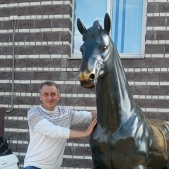 Дмитрий Несвицкий, Санкт-Петербург