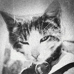 Дмитрий Тен, 05.05.1989, Алматы