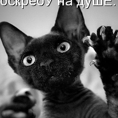 Елена Рафеева, 14.09.1957, Санкт-Петербург