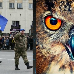 Юрий Новожилов, 23.12